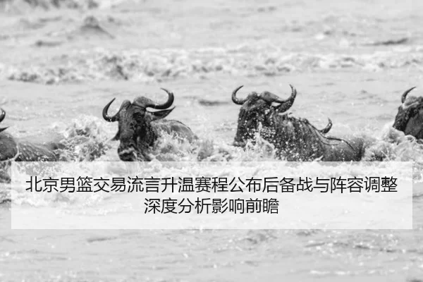 北京男篮交易流言升温赛程公布后备战与阵容调整深度分析影响前瞻